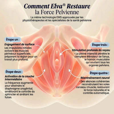 Elva PelvisGlow
