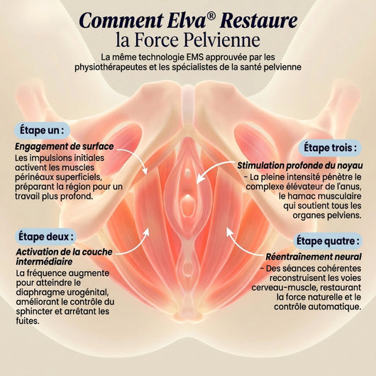 Elva PelvisGlow